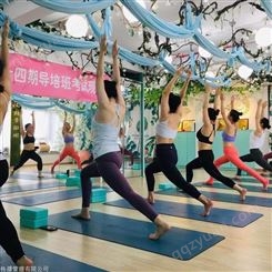 深圳专业瑜伽教练培训活动 绿素瑜伽