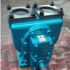 驰通厂家生产YHCB型圆弧齿轮泵 汽车专用抽油泵