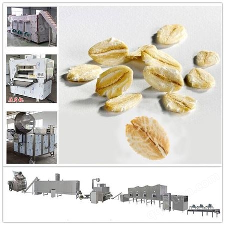 西藏 燕麦制作机器 整粒燕麦片压片设备 TN300型