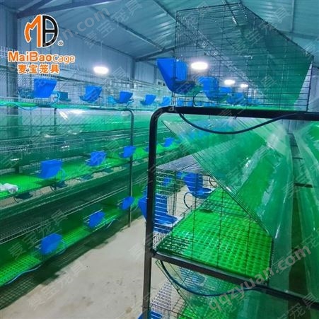 三层18位阶梯式兔笼 繁育品型兔笼 自动免清粪热镀锌母兔笼