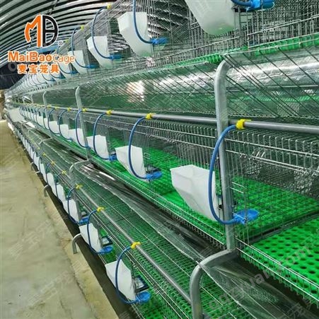 三层18位阶梯式兔笼 繁育品型兔笼 自动免清粪热镀锌母兔笼