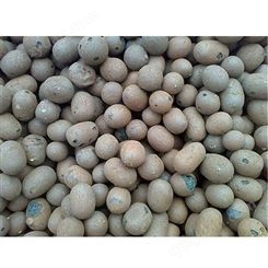 玉林陶粒生产-建筑陶粒现货批发