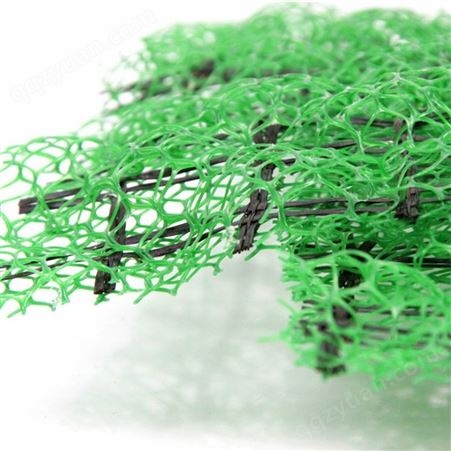 河道绿化加筋三维网 三维植被网护坡植草网 三维植被网价格