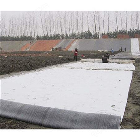 GCL膨润土防水毯 天然钠基毯状防水卷材 垃圾填埋场用 路通