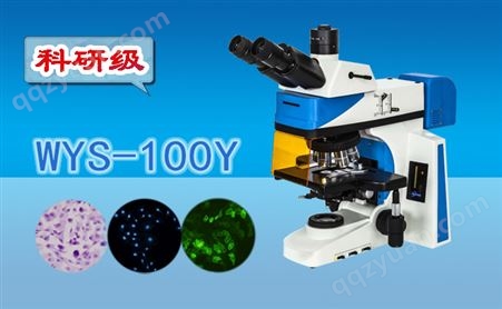 科研级三目荧光显微镜WYS-100Y