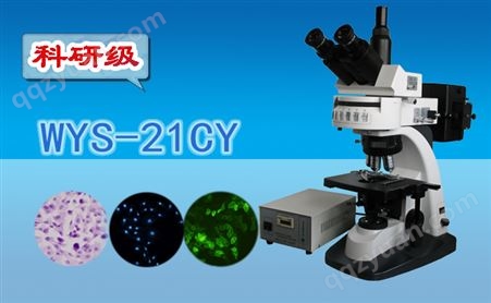 科研级三目荧光显微镜WYS-21CY