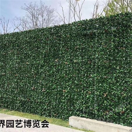 生态植物墙施工