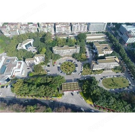 屋顶绿化植物 上海新房树围绿化施工