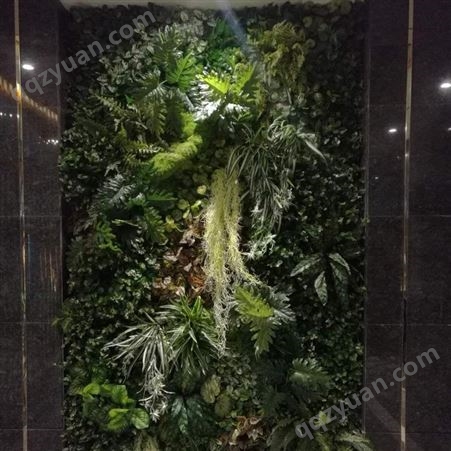 江西植物生态墙图片  绿墙制造
