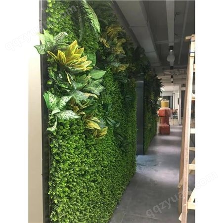 生态墙植物 北京家居生态植物墙制造