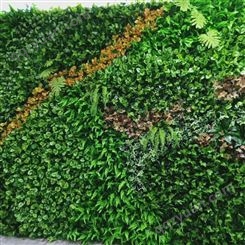 立体生态植物墙安装