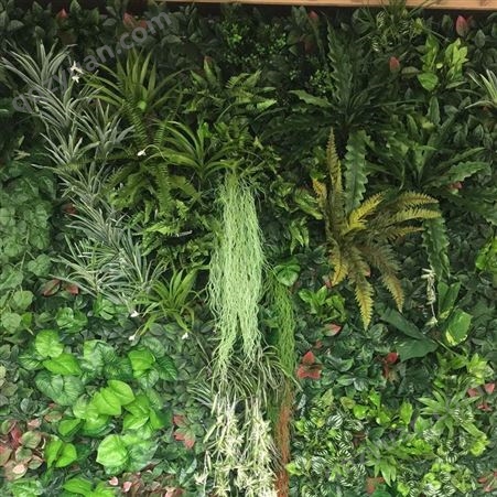 江苏写字楼生态植物墙施工 仿真绿植墙设计