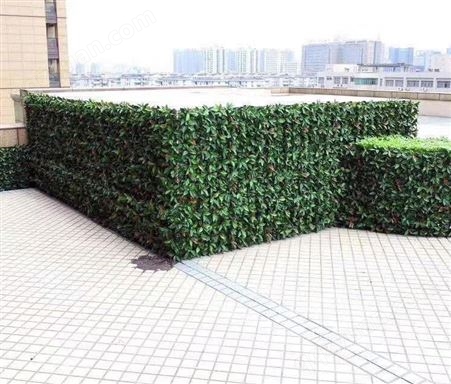立体生态植物墙制造