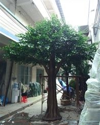 仿真榕树 4米5米假榕树 广州有假树买