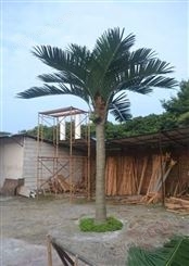 广州松涛仿真椰子树 玻璃钢椰子树 行道树椰树 椰树4米5米