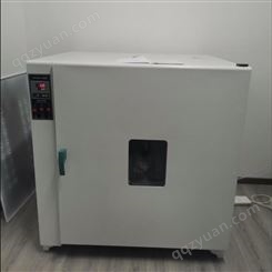 高温干燥箱 定制干燥箱 温升干燥箱