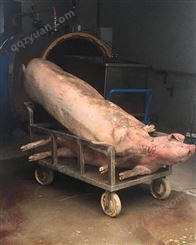 病死猪无害化处理设备 餐厨垃圾处理设备厂家，湿化机制造厂家