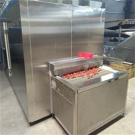 北京蔬菜速冻机 中型菜花速冻机设备 速冻机厂家