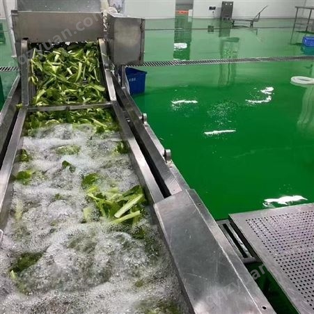 生产商清洗机 专用蔬菜清洗机 菠菜清洗流水线 煜昊机械