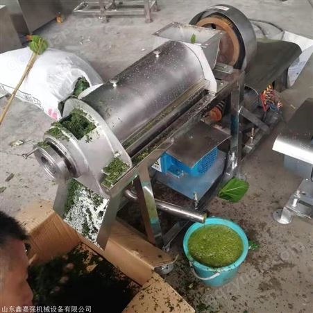 生姜 菠萝榨汁机 商用榨汁机  大型不锈钢榨汁机价格