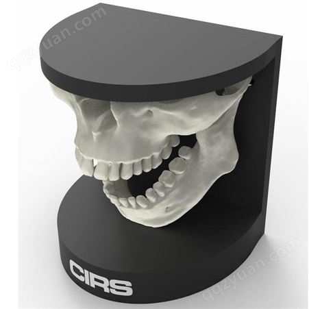 CIRS-134200供应美国CIRS 134200牙科口腔模体现货