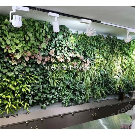 加工定制植物墙 垂直真植物墙 生态墙面植物墙 仿真植物墙 背景墙加密塑料 草坪绿植墙