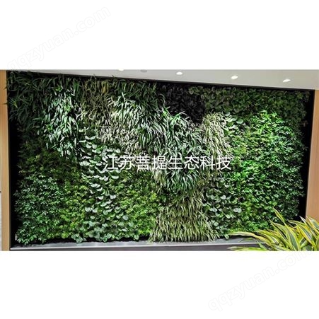 加工定制植物墙 垂直真植物墙 生态墙面植物墙 仿真植物墙 背景墙加密塑料 草坪绿植墙