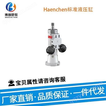 美国 Haenchen液压缸 S062958 液压系统