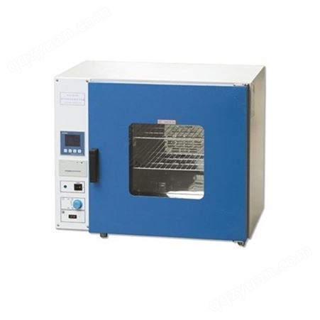 DZF-6032真空干燥箱 小型台式真空干燥箱 实验室快速干燥设备 智能型干燥箱
