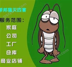 广州大沙地除蚊子灭白蚁 杀蟑螂 消灭老鼠上门价格多少