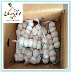 金乡新大蒜10斤 紫皮富硒干蒜 农家自种新鲜大蒜