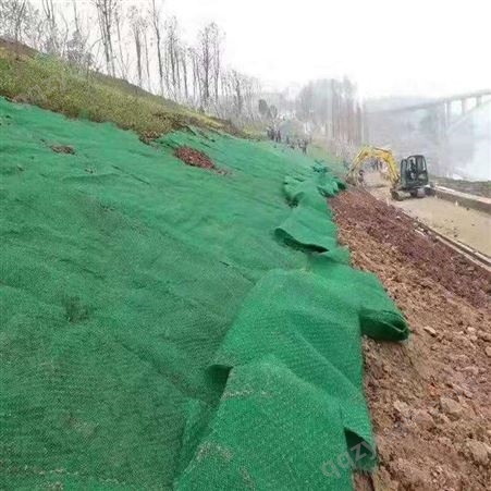 诺联护坡护坝复合三维植被网支持定制 绿化施工三维土工网垫