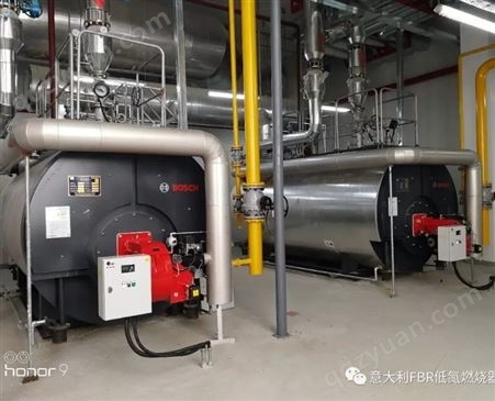 燃气蒸汽锅炉 燃气热水锅炉 新型燃气供暖锅炉