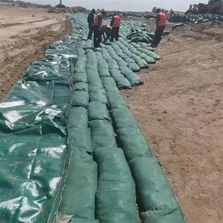 九江护坡绿化植生袋 支持送到工地 防汛护坡生态袋