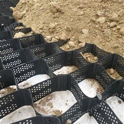 塑料土工格室 蜂巢打孔土工格室 路基加固 植草护坡 焊接土工格室