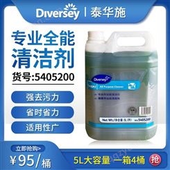 泰华施5405200清洗剂 地板清洁剂 油污清洗剂 强力去污剂