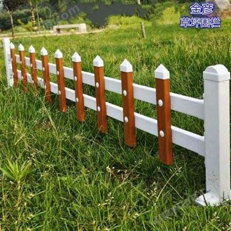 草坪护栏模具 临沂草坪小护栏 绿化带围栏安装 金彦 