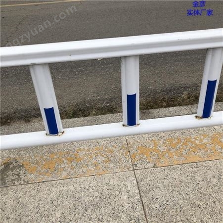 河堤护栏 湘潭河堤防护护栏 道路中间隔离围栏 金彦