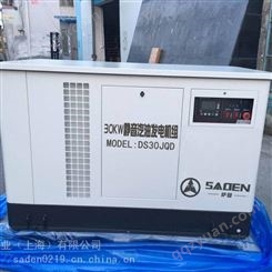萨登DS10JQD汽油发电机应急抢险电源质量