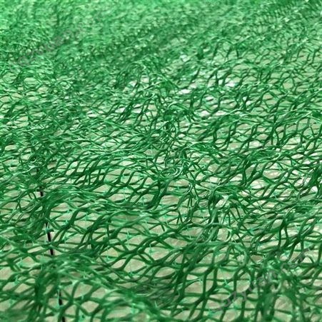 园林绿化用三维植被网价格 EM3护坡植草三维网垫诺联出品