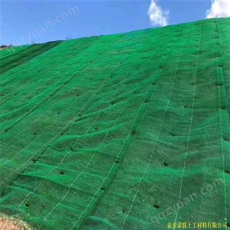 三维土工网厂园林绿化固土用土工网植草护坡三维植被网诺联
