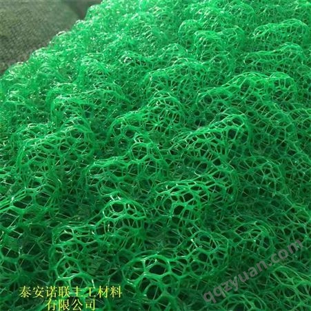 诺联三维土工网绿色护坡植被网厂家 三层植草护坡 塑料三维植被网EM3