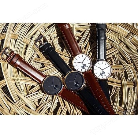 LH0196国美时 石英机芯 商务手表 简约男士女士手表 可替换网丝带皮表带 工厂批发手表