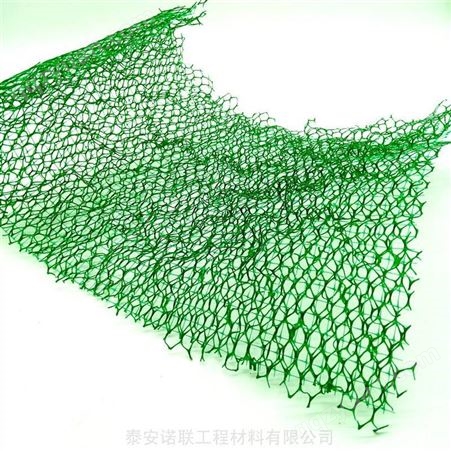 江苏三维植被网山体防护施工应用 多规格三维植被网定制厂家
