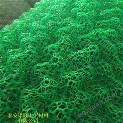 诺联 三层三维土工网垫 河道护坡用固土三维植被网