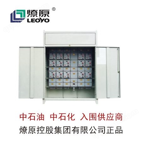 BXC防爆配电箱-防爆LED灯-BPG系列防爆照明动力柜(IIB、IIC、DIP)